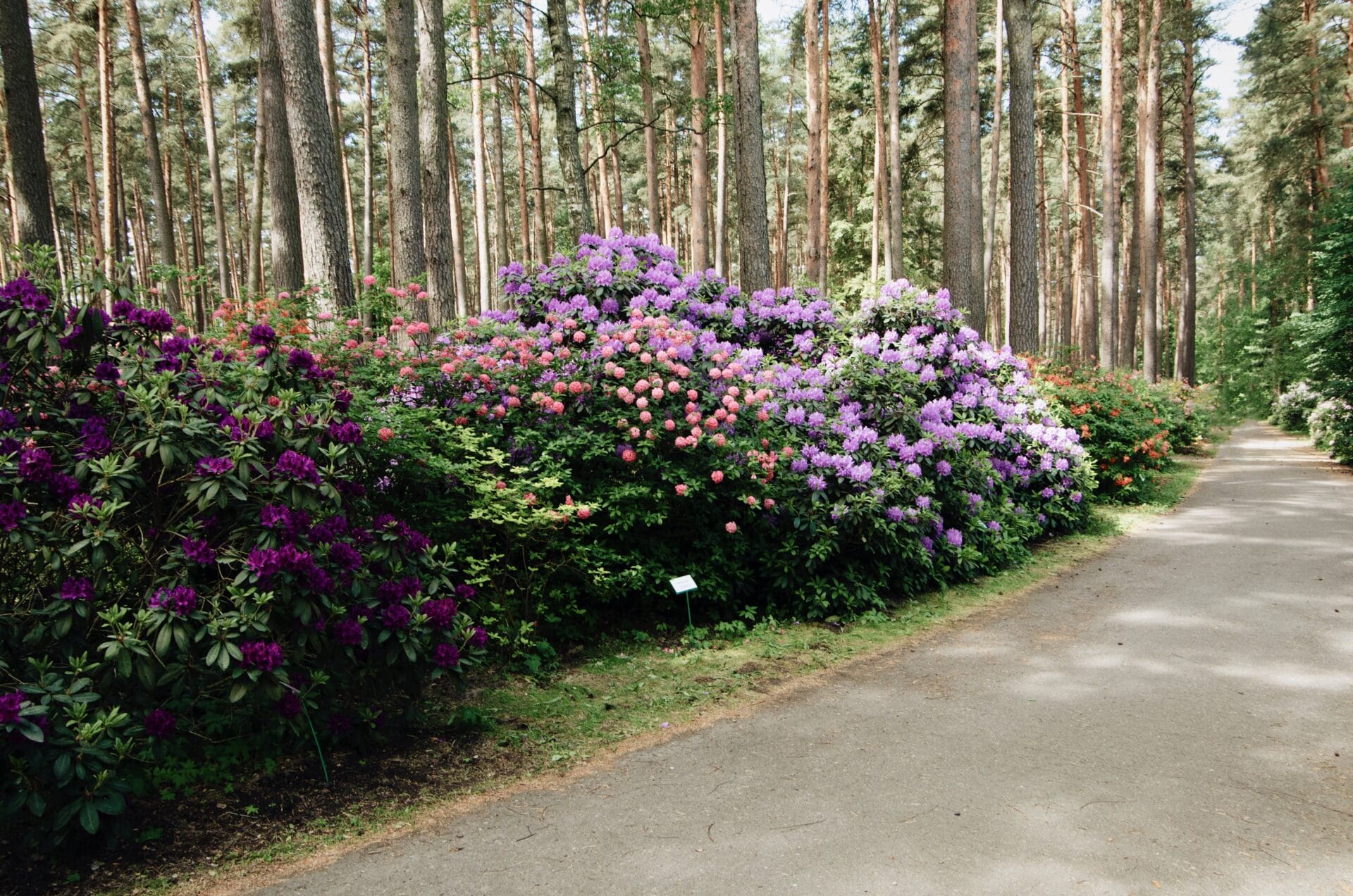 Le Jardin Comme Argument de Vente